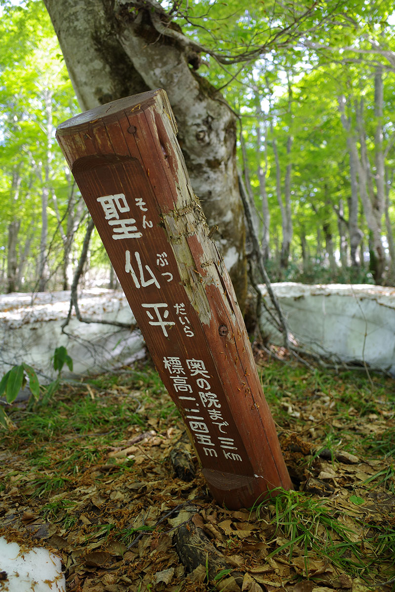 f:id:fukenko:20190526080117j:plain f:id:fukenko:20190526080117j:plain