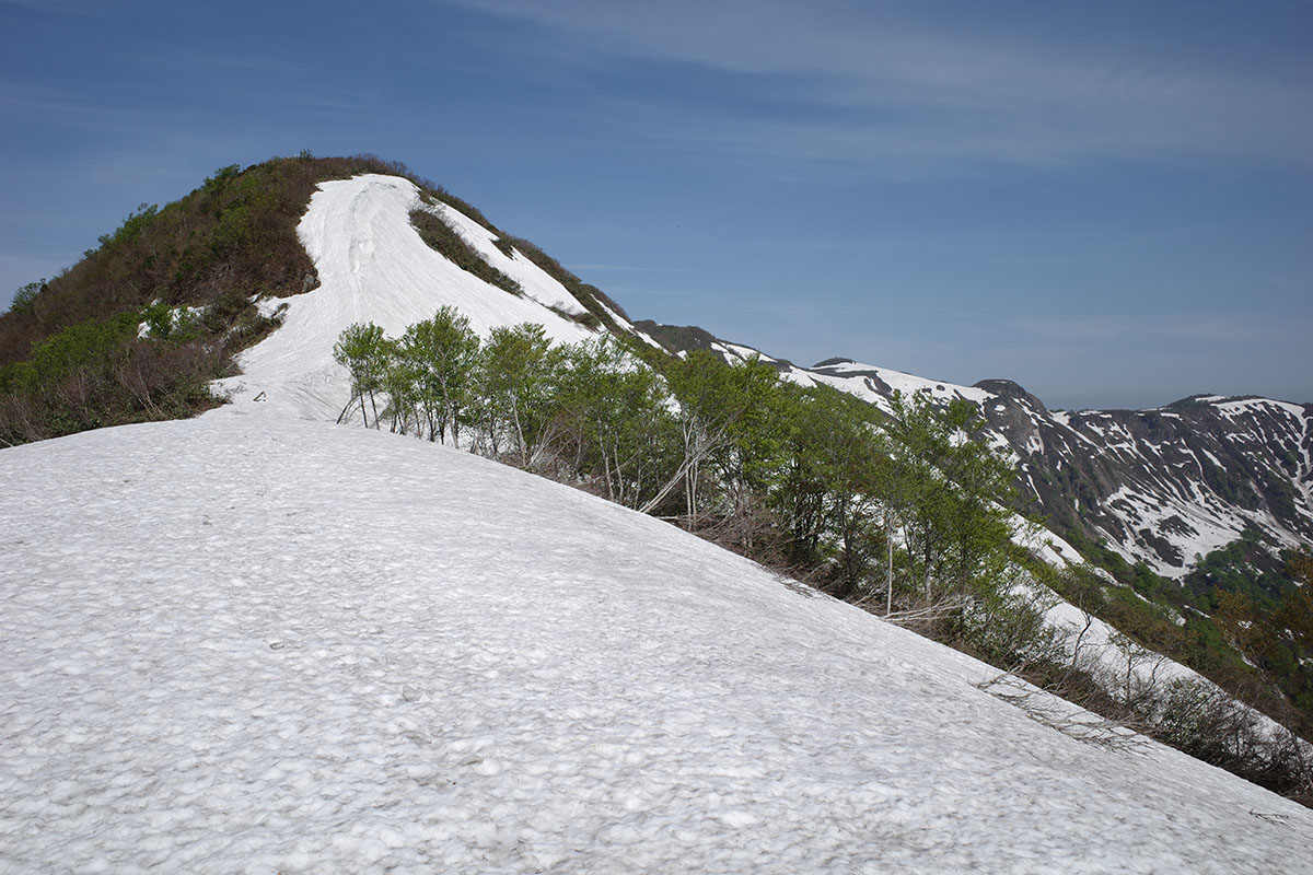 f:id:fukenko:20190526084040j:plain f:id:fukenko:20190526084040j:plain