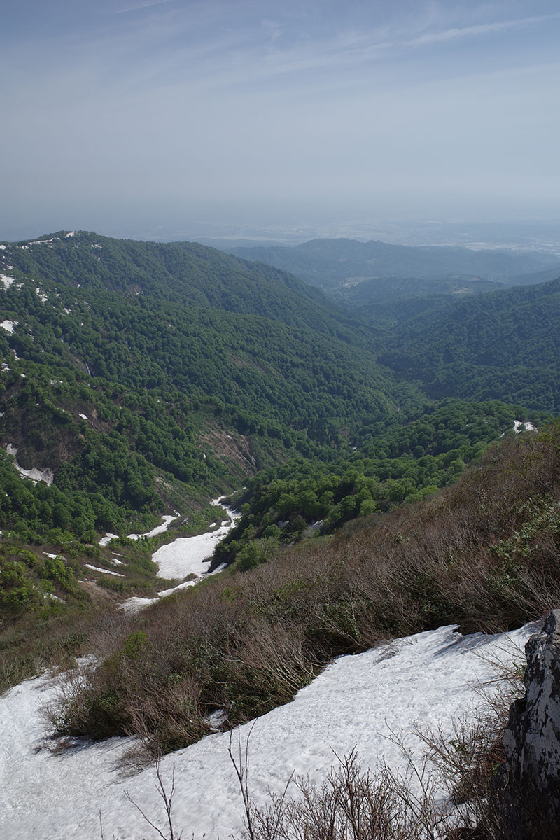 f:id:fukenko:20190526091232j:plain f:id:fukenko:20190526091232j:plain