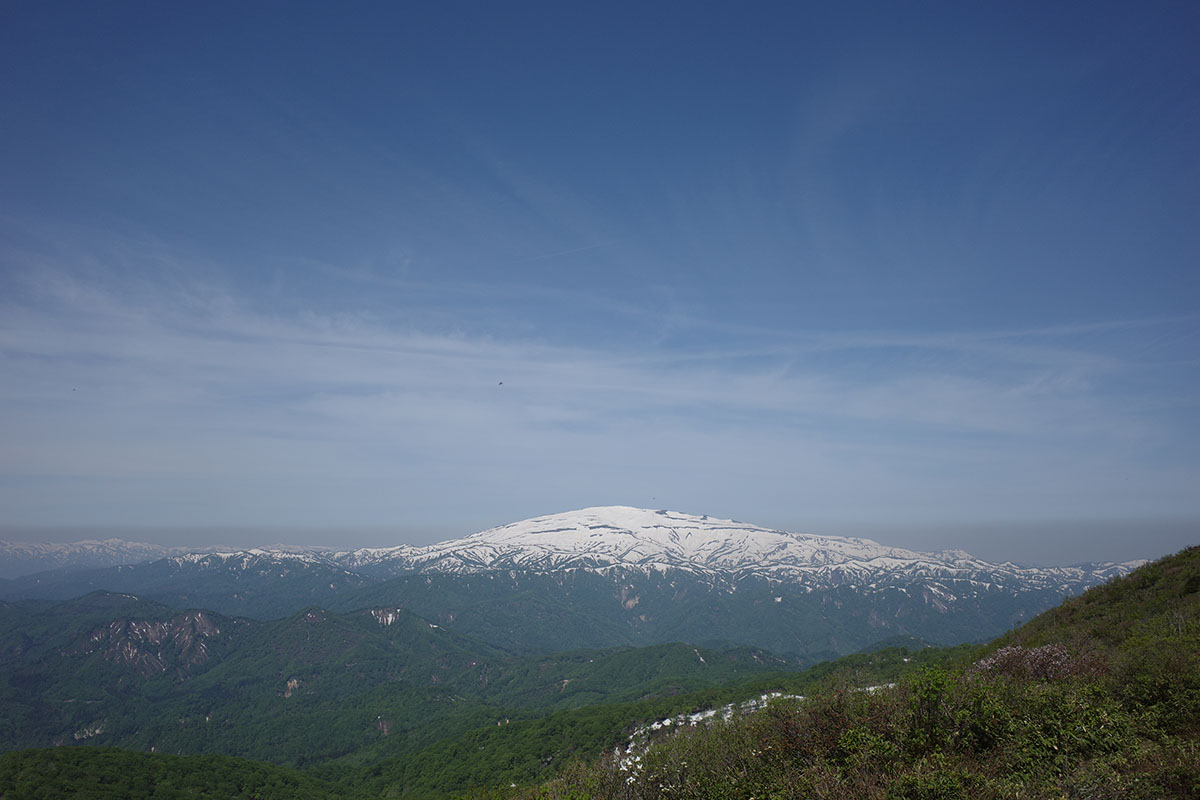 f:id:fukenko:20190526091544j:plain f:id:fukenko:20190526091544j:plain