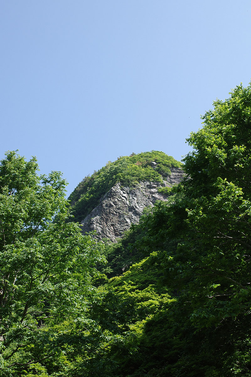 f:id:fukenko:20190603084747j:plain