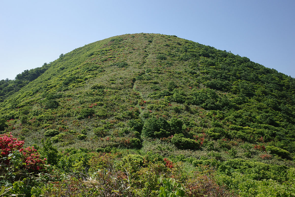 f:id:fukenko:20190603085941j:plain
