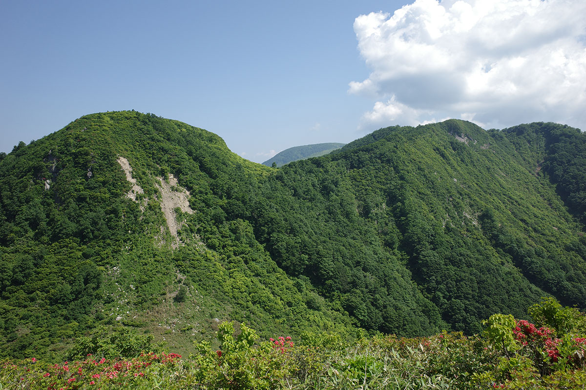 f:id:fukenko:20190603093508j:plain