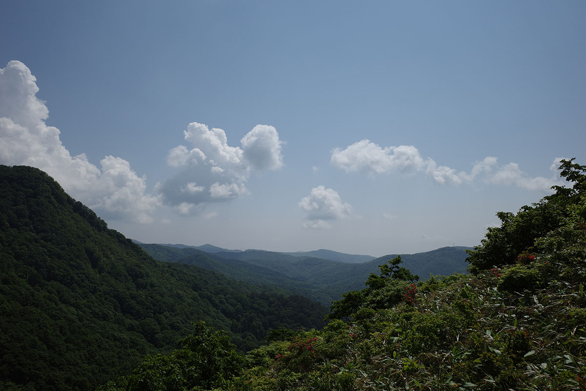 f:id:fukenko:20190603094003j:plain