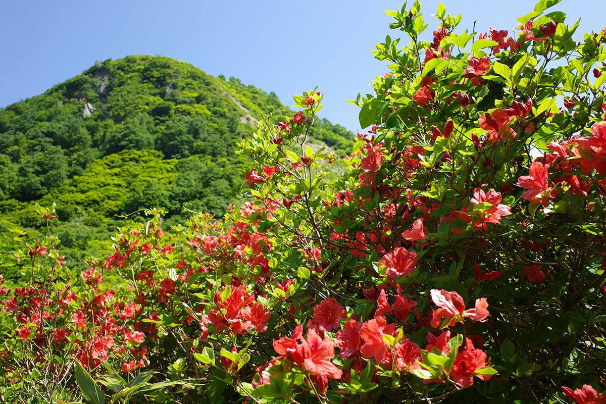 f:id:fukenko:20190603094444j:plain