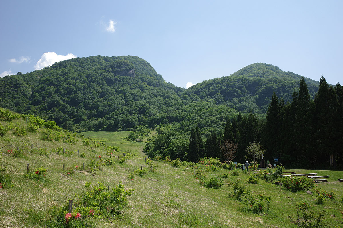 f:id:fukenko:20190603100454j:plain