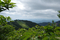 五郎岳から見る鳥兜山