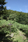 小東峠・ここまで来ればもうすぐです