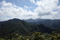 山頂直下から林道方面を見るの図