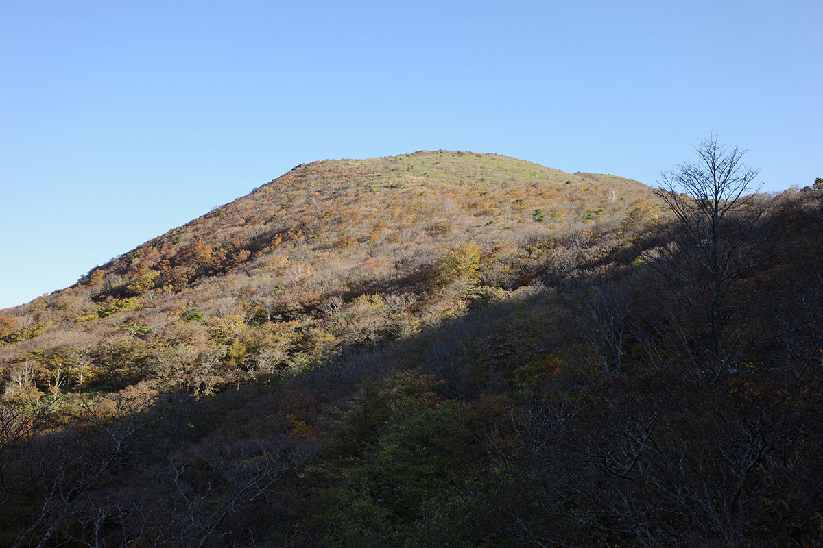 おなじみ笹谷の大関山だぜ