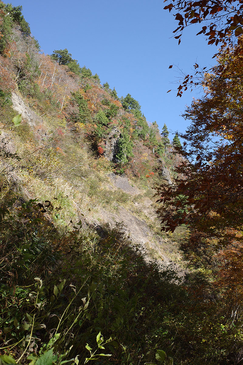 沢の次は山腹を進みます