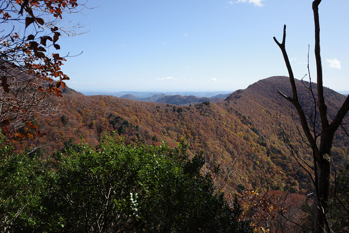 尾根道から太平洋を遠望する