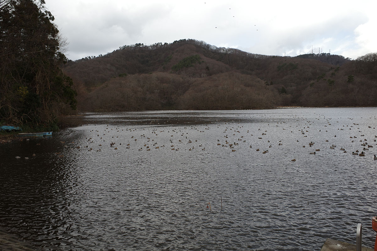 高館山と下池の図