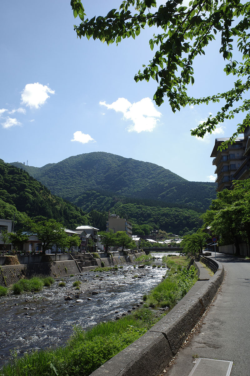 萬国屋前から温海岳を見上げるの図