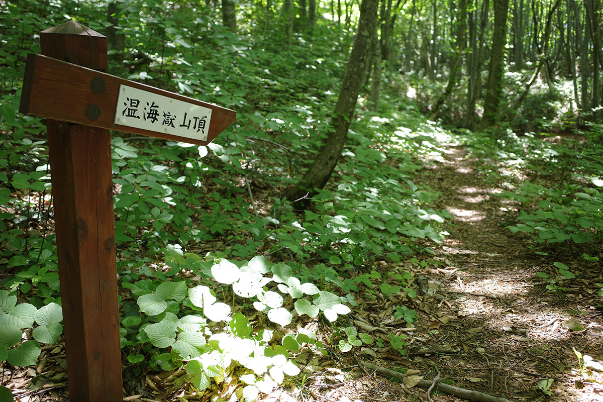 山頂へ至る道