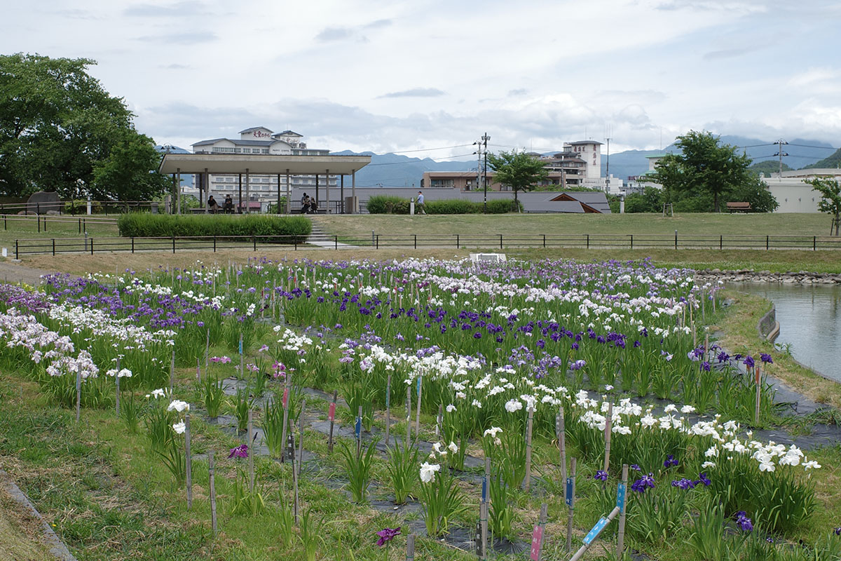 f:id:fukenko:20200624214858j:plain