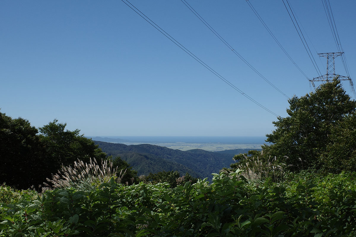 f:id:fukenko:20200908102513j:plain f:id:fukenko:20200908102513j:plain
