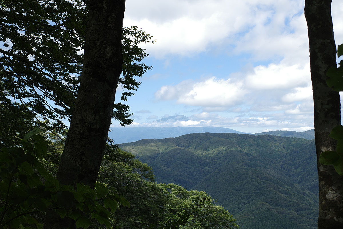 林の合間から鳥海山を見たところ