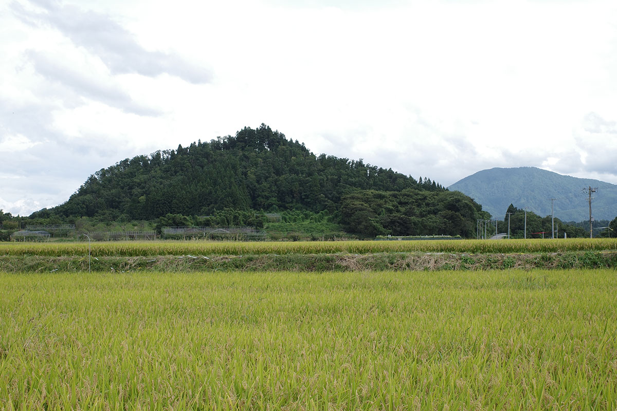 羽黒山(低い方)