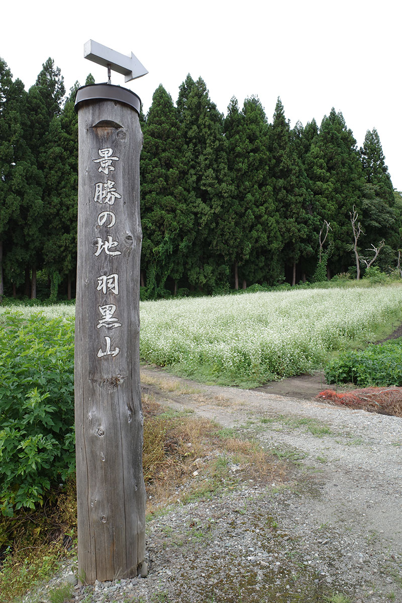 f:id:fukenko:20200916063954j:plain f:id:fukenko:20200916063954j:plain