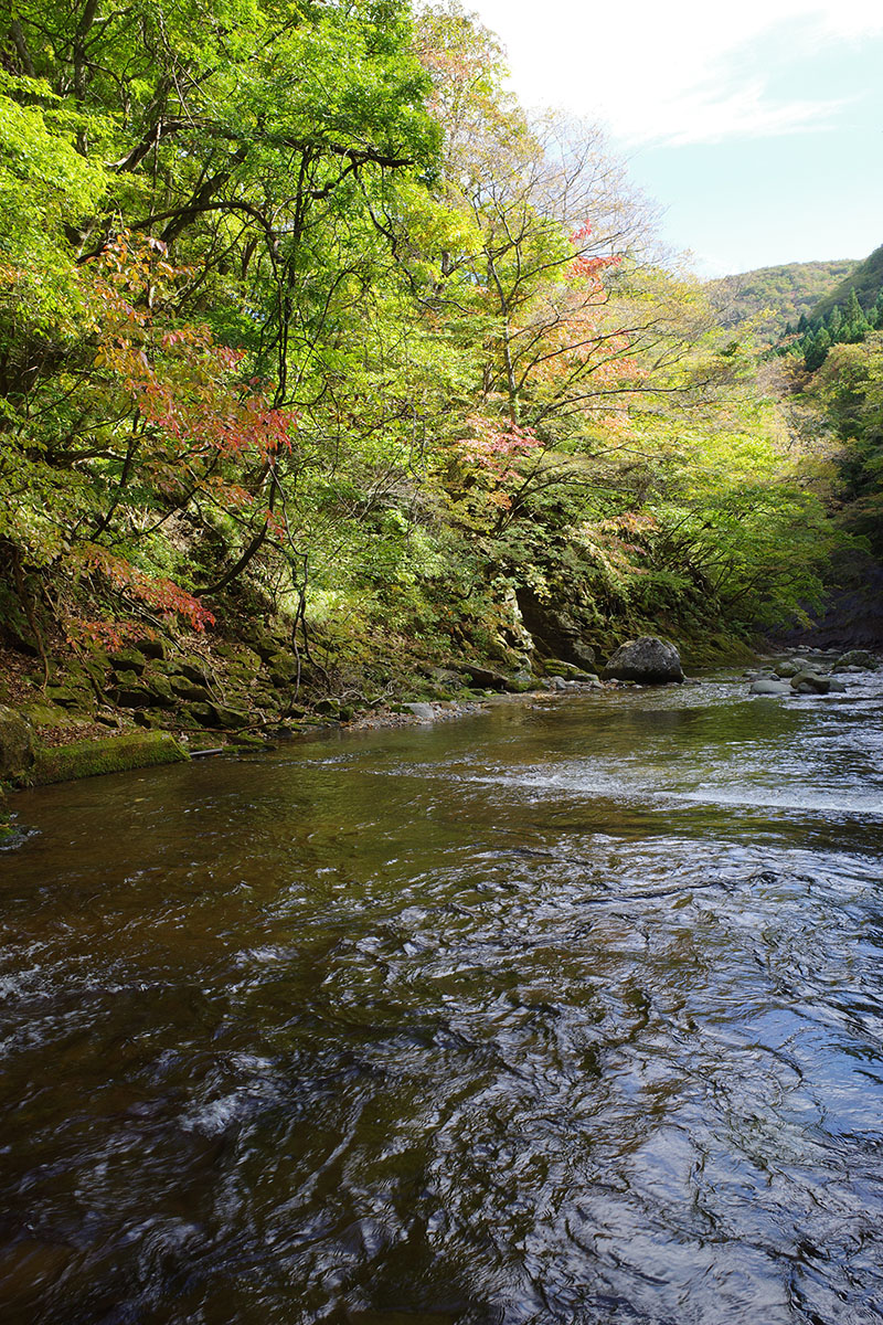 二口沢に戻ってきたところ