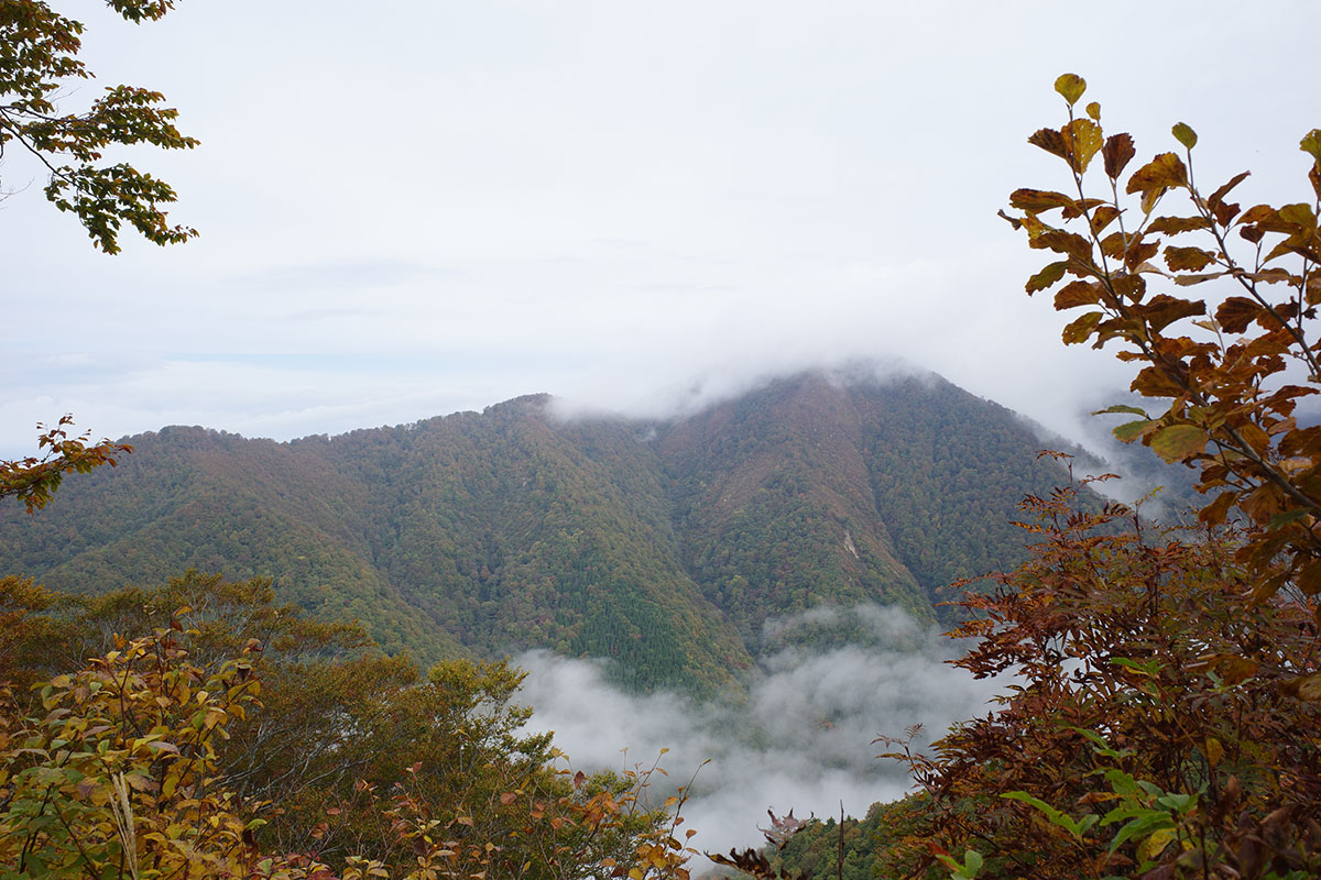 f:id:fukenko:20201020093002j:plain