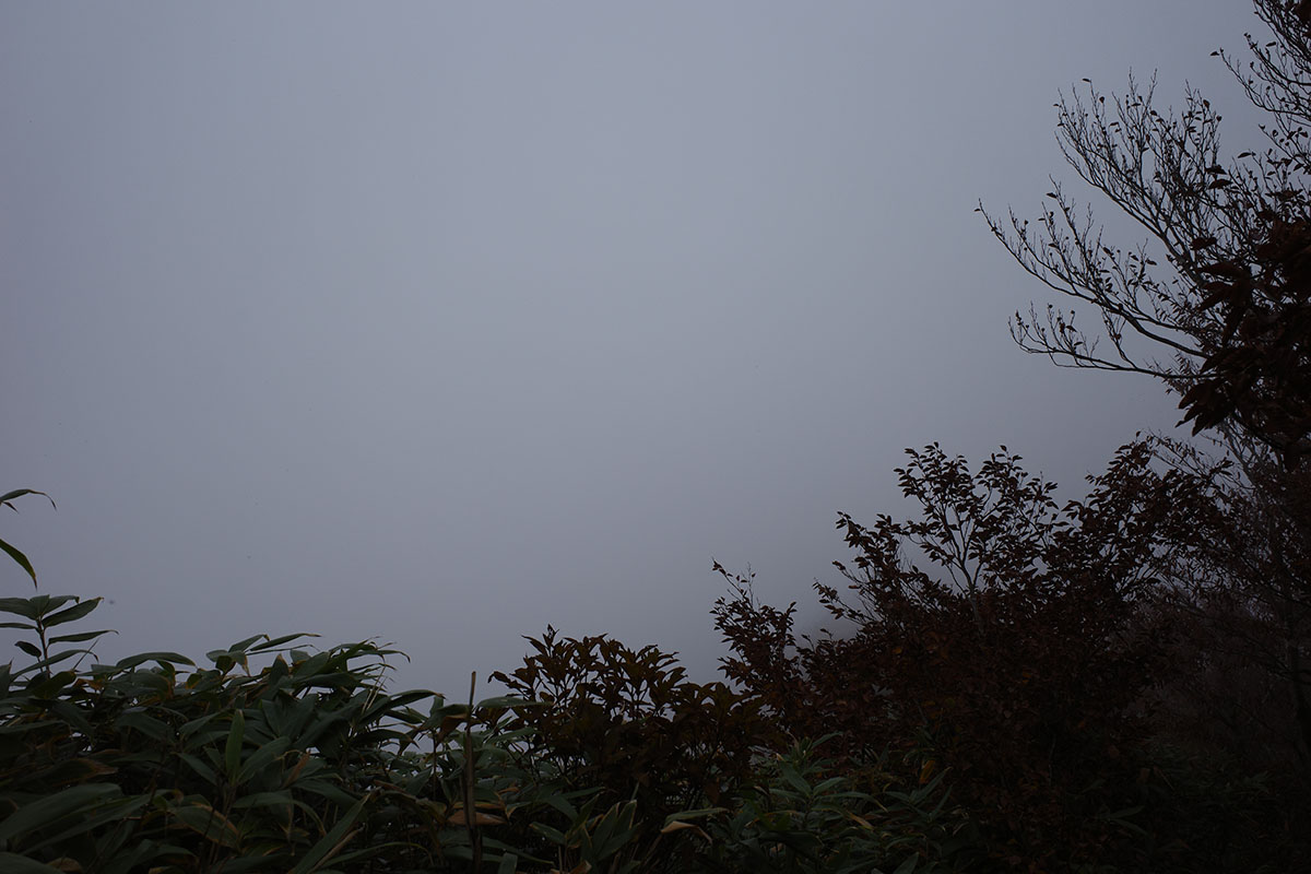 f:id:fukenko:20201020093143j:plain