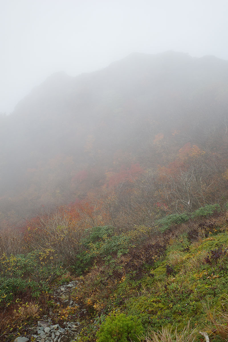 f:id:fukenko:20201020093152j:plain