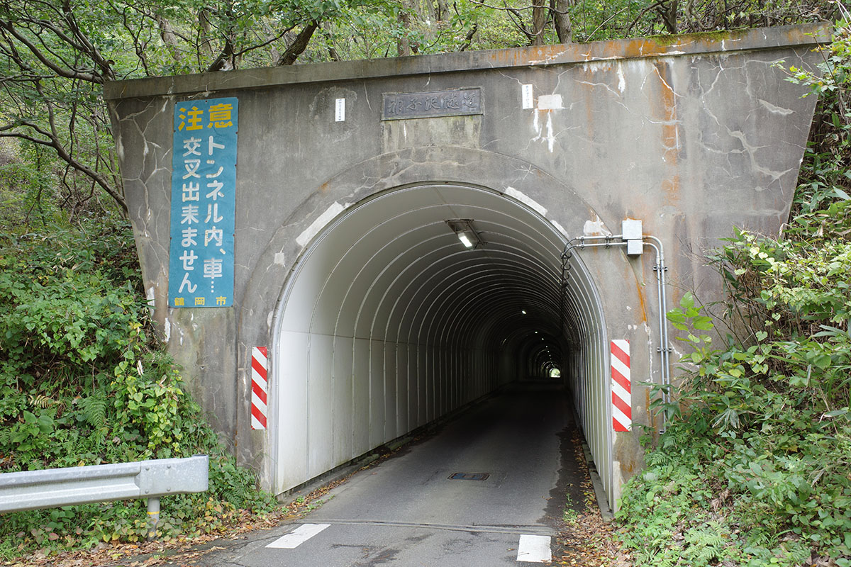 f:id:fukenko:20201026200323j:plain f:id:fukenko:20201026200323j:plain