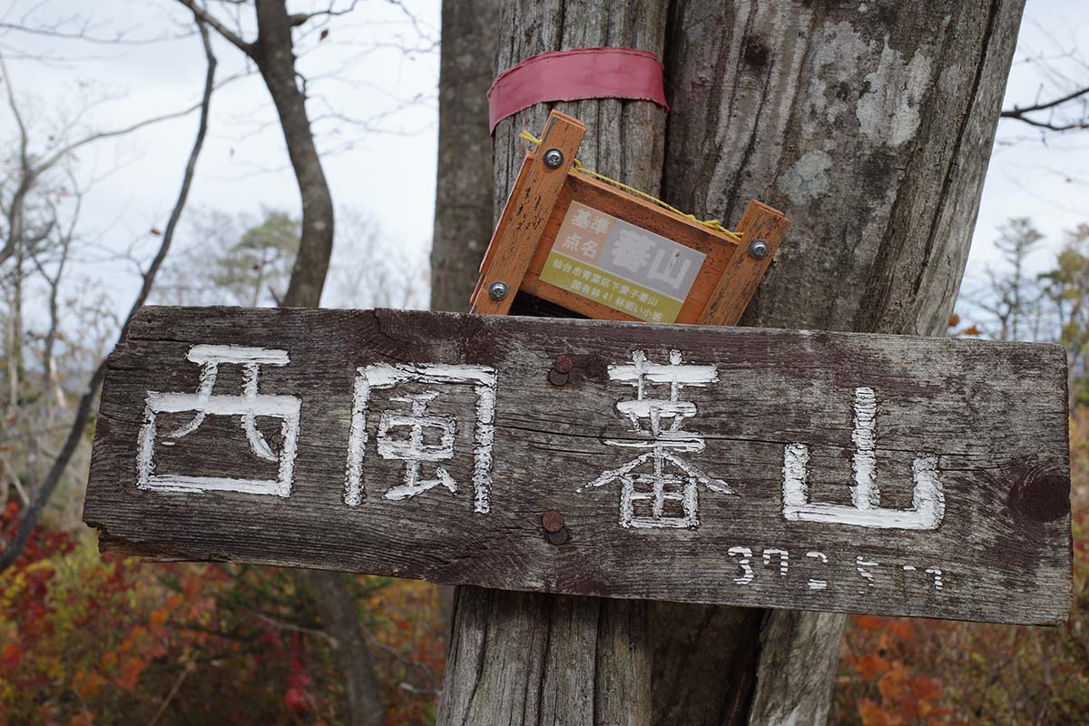 f:id:fukenko:20201113082149j:plain f:id:fukenko:20201113082149j:plain