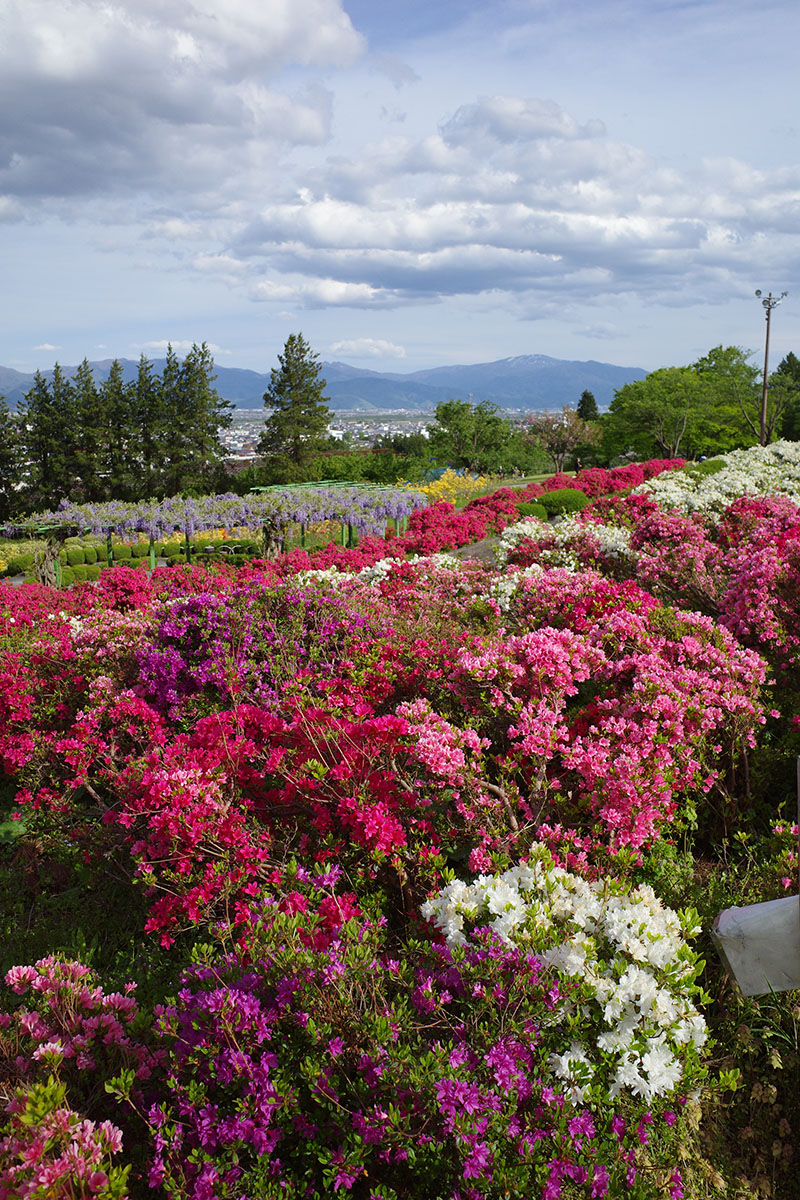 f:id:fukenko:20210514063417j:plain