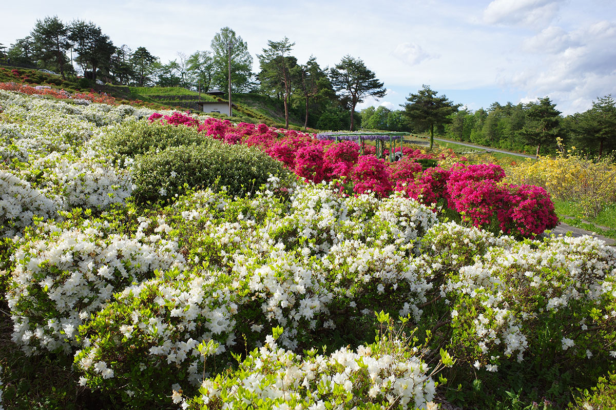 f:id:fukenko:20210514063438j:plain