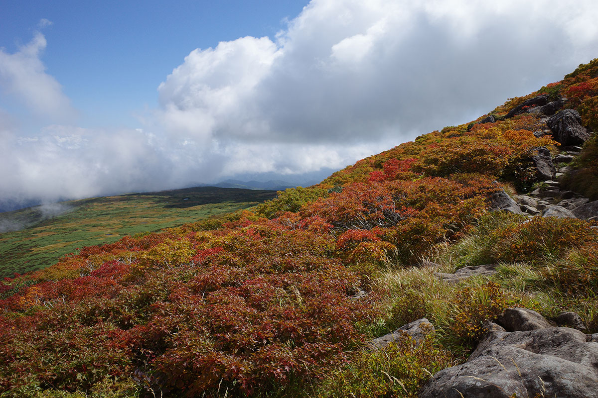 f:id:fukenko:20210916072036j:plain