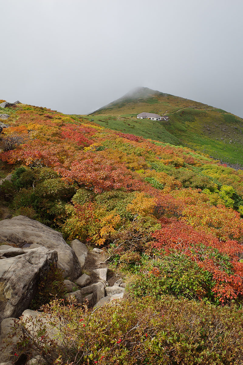 f:id:fukenko:20210916072046j:plain