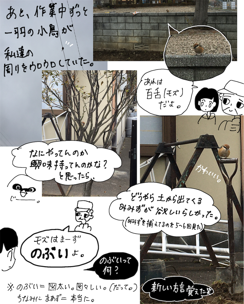 f:id:fuki-bee-stripes:20200523205621p:image