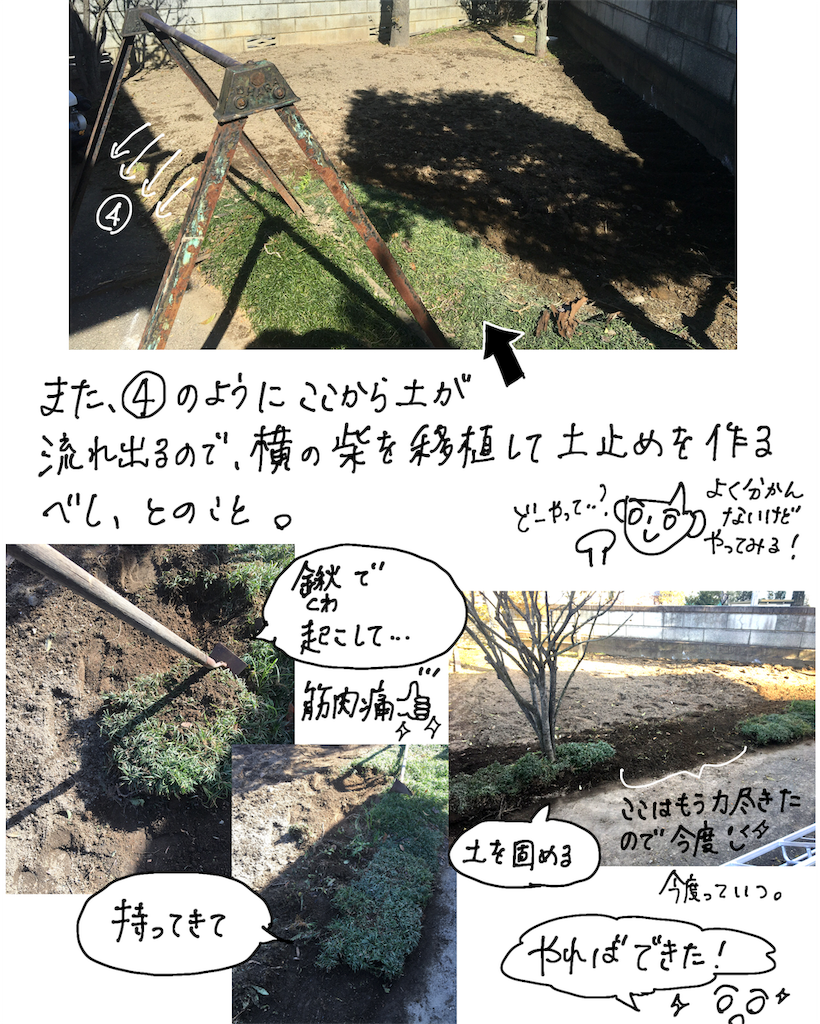 f:id:fuki-bee-stripes:20200523205633p:image