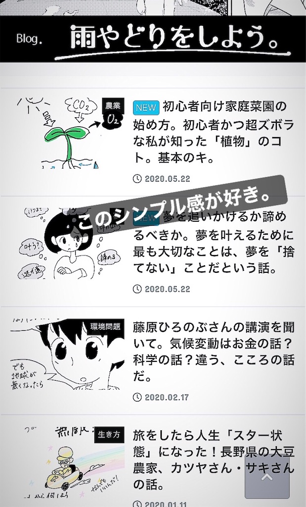 f:id:fuki-bee-stripes:20200524233120j:image