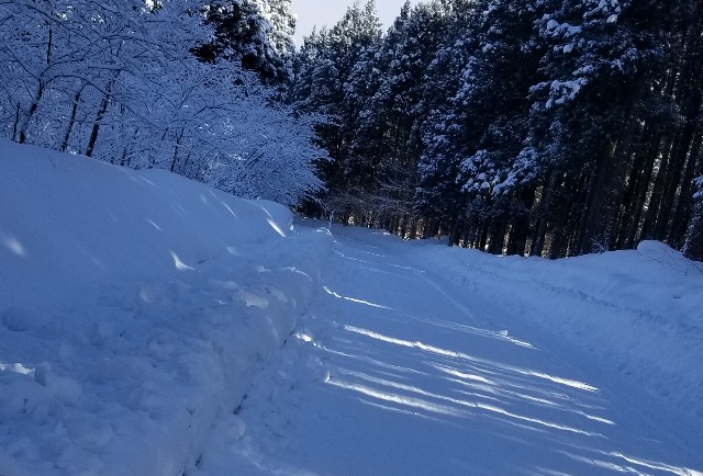 f:id:fukikoshi1027:20190218102152j:plain f:id:fukikoshi1027:20190218102152j:plain