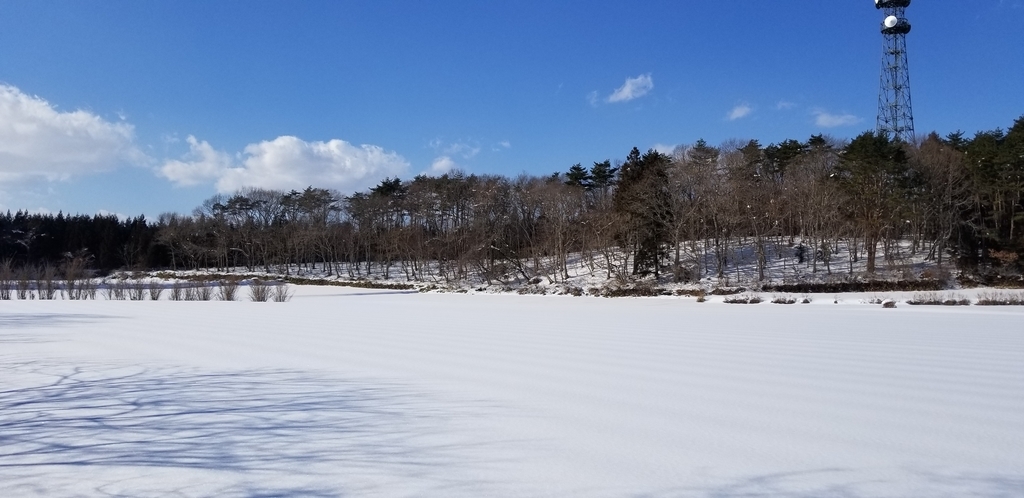 f:id:fukikoshi1027:20190218193945j:plain f:id:fukikoshi1027:20190218193945j:plain