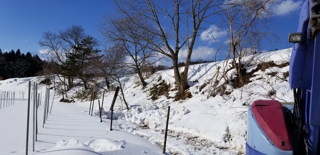f:id:fukikoshi1027:20190218194226j:plain f:id:fukikoshi1027:20190218194226j:plain