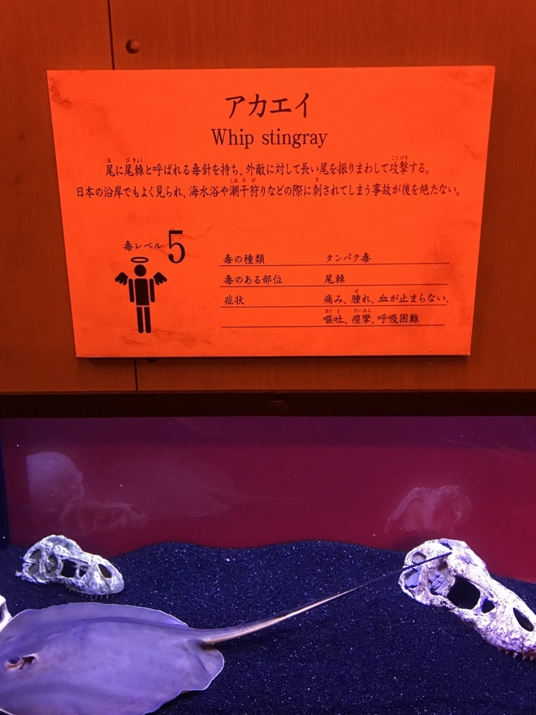 毒毒毒毒毒毒毒毒毒展 痛 もうどく展2 に行ってみた In 大阪 あぼいどのーと