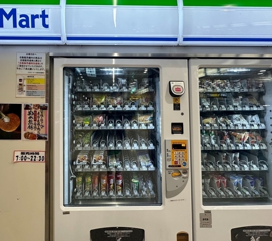 nrt 2nd terminal choshi train-8