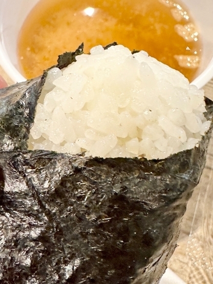 ANA Hangger kitchen-5