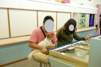 f:id:fuku-chan:20130622151203j:image