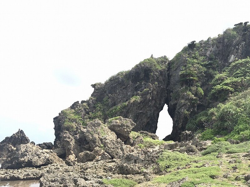 f:id:fuku-fukurou:20190630004725j:plain f:id:fuku-fukurou:20190630004725j:plain