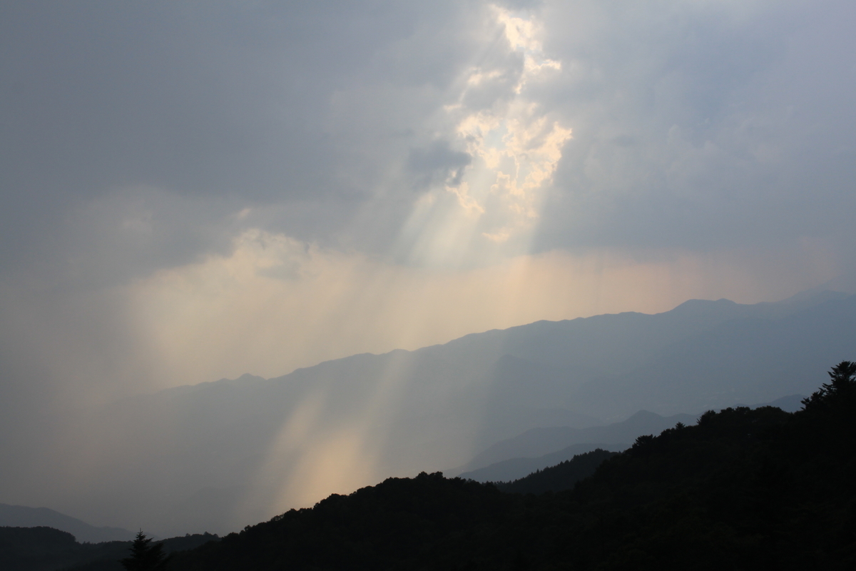 f:id:fuku-fukurou:20190720233609j:plain f:id:fuku-fukurou:20190720233609j:plain