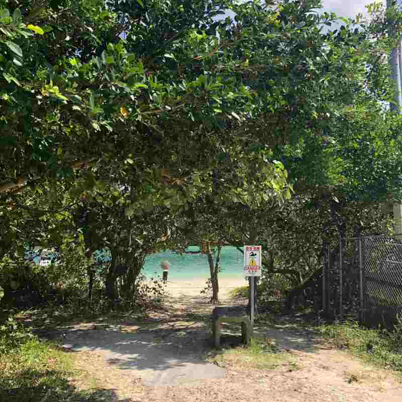 f:id:fuku-fukurou:20191006222715j:plain f:id:fuku-fukurou:20191006222715j:plain