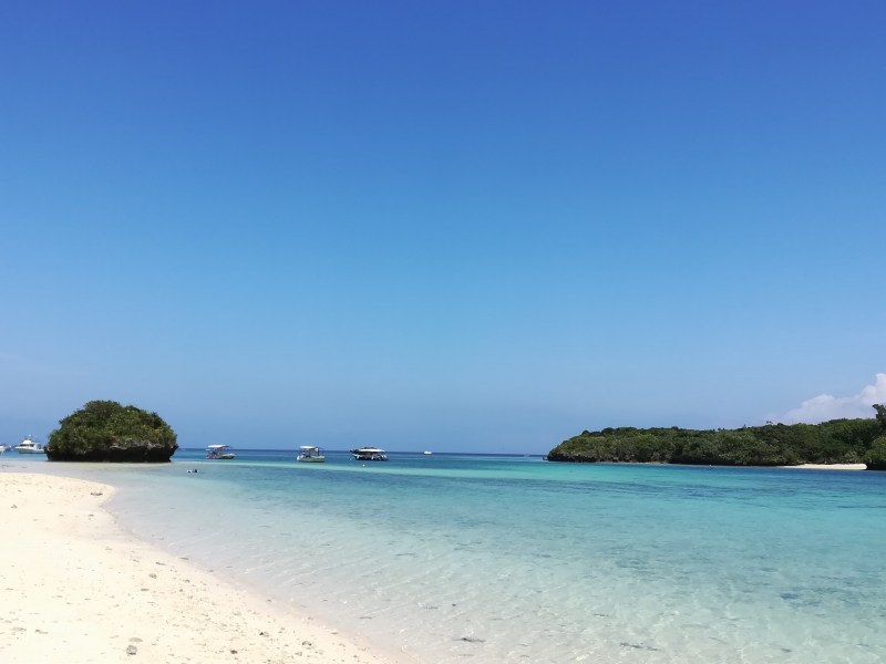 f:id:fuku-fukurou:20191006222838j:plain f:id:fuku-fukurou:20191006222838j:plain