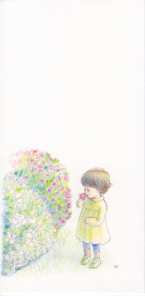 封筒 ツツジの花は甘いね ふくろう絵本屋