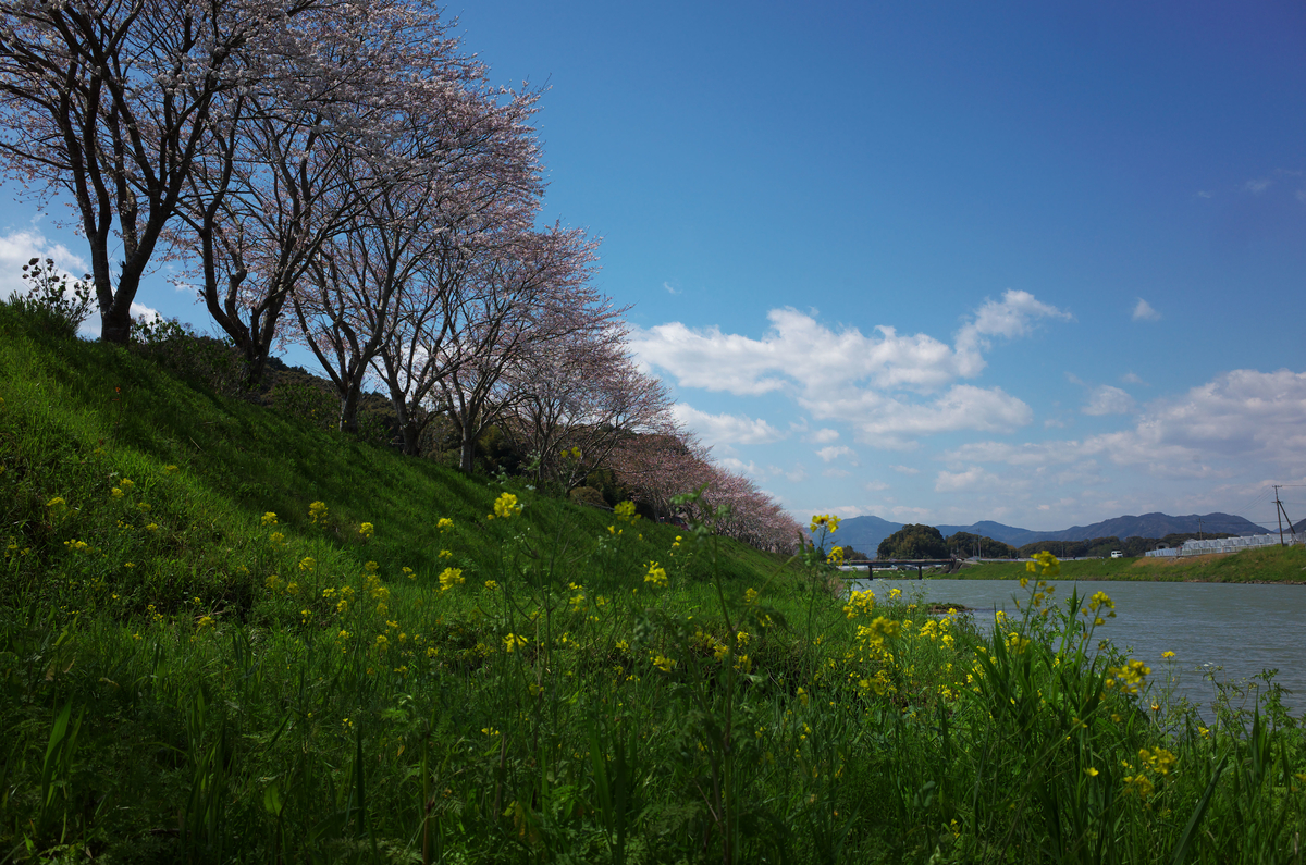 f:id:fuku-taro:20190615183540j:plain